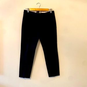 Banana Republic Sloan Fit Dress Pant Size 2